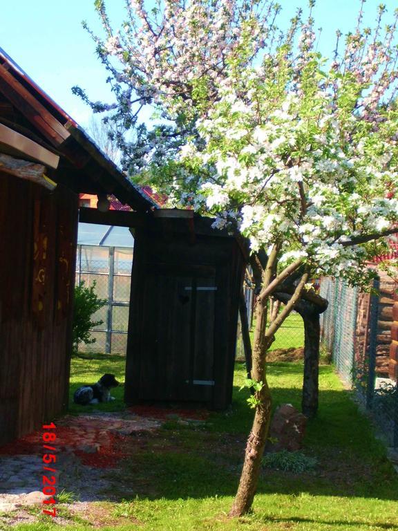 Sedliacka Drevenica Vila Liptovská Osada Exterior foto